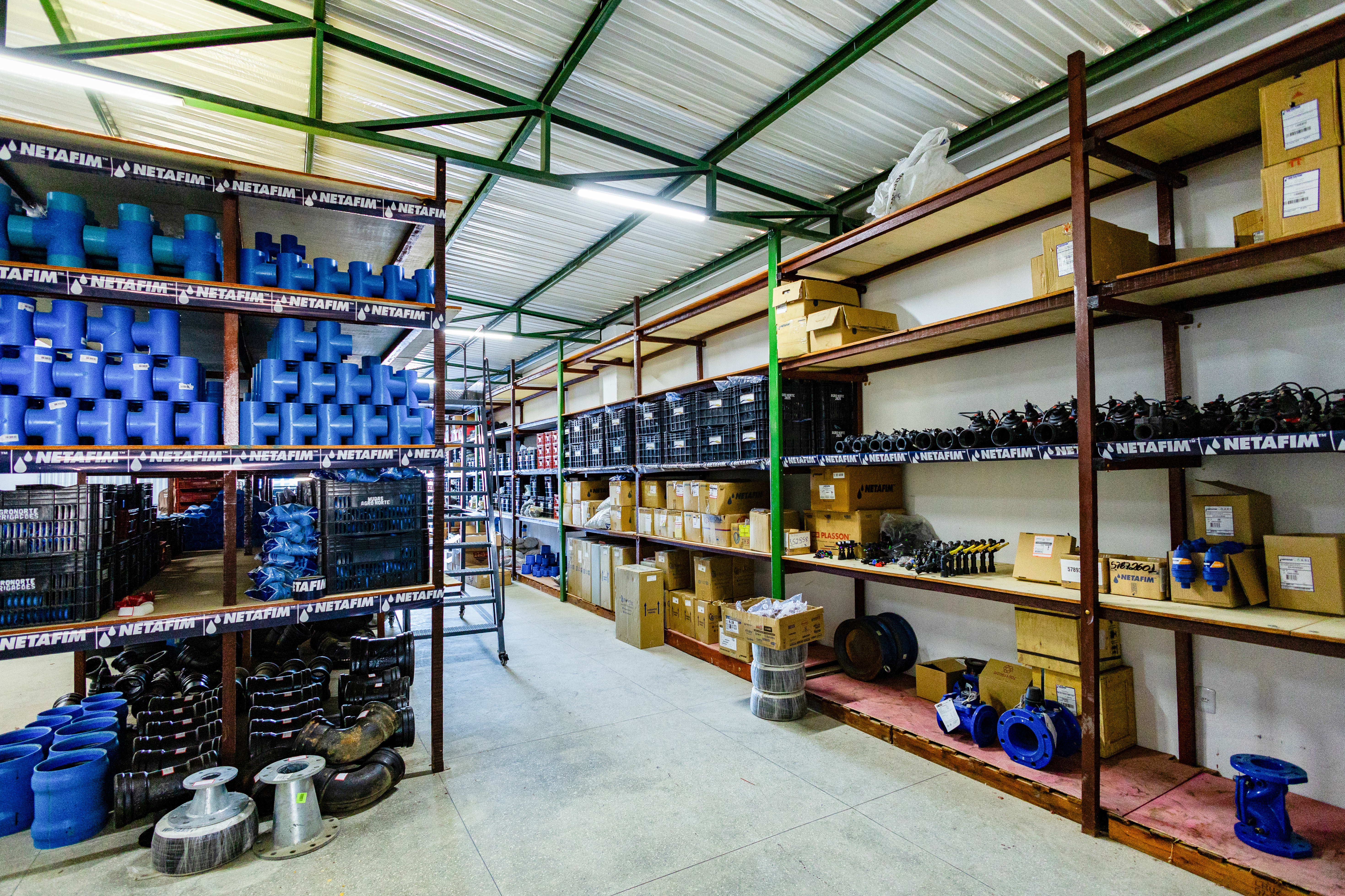 Montagem e Execução